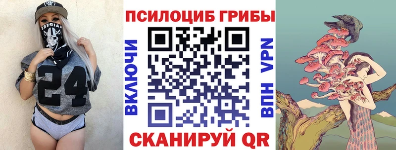гидра вход  Пятигорск  Псилоцибиновые грибы мицелий 