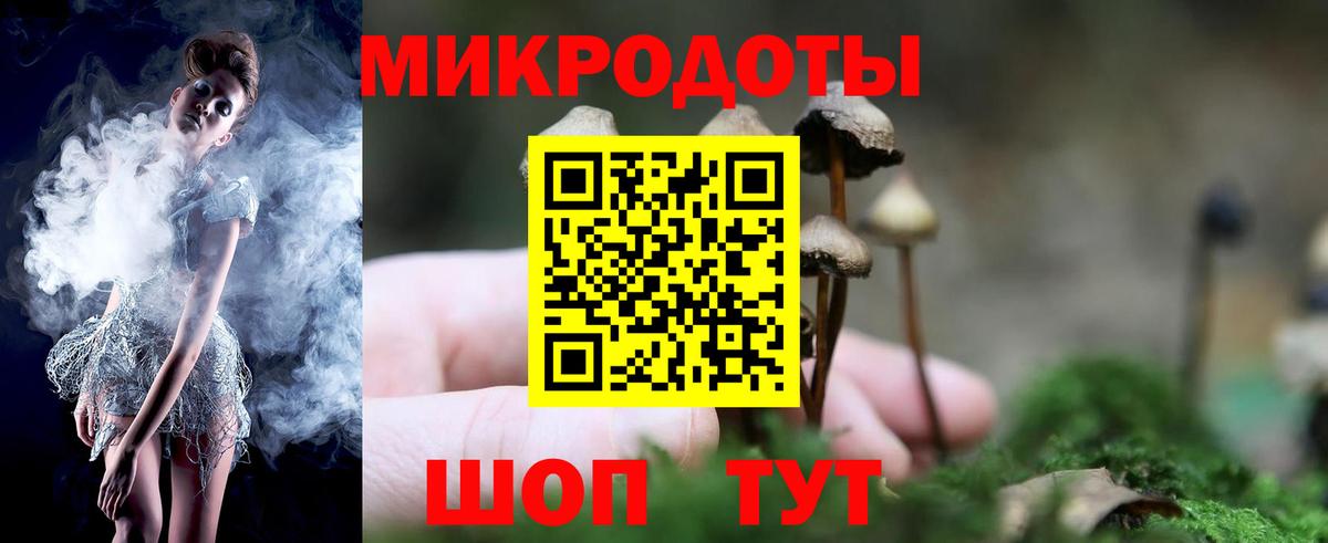 Пятигорск  Псилоцибиновые грибы мухоморы  Галлюциногенные грибы Cubensis  купить наркотик  Вход с VPN 